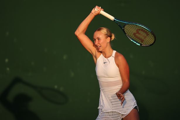 Wimbledon has most middle class moment ever as umpire gives hilarious warning